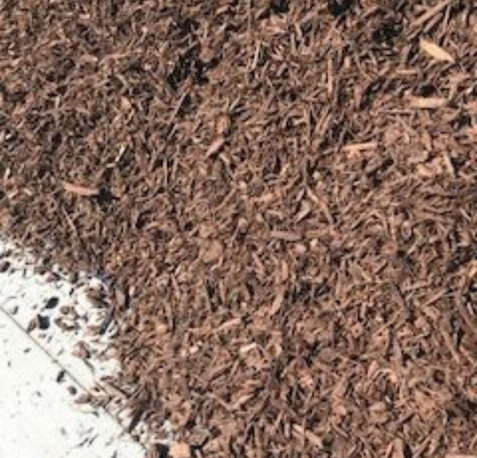 Brown-Bark-rotated-2