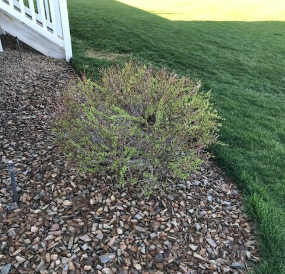 Untitled design (25)